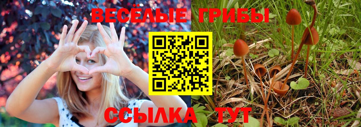 Галлюциногенные грибы мицелий  Вход с VPN  Первоуральск  где продают наркотики  Галлюциногенные грибы прущие грибы 